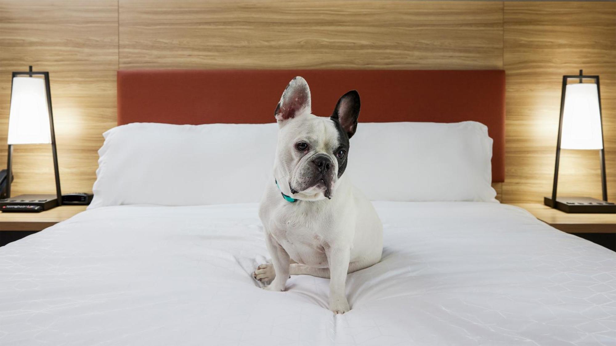 Candlewood Suites Junction City - Ft. Riley By Ihg Εξωτερικό φωτογραφία